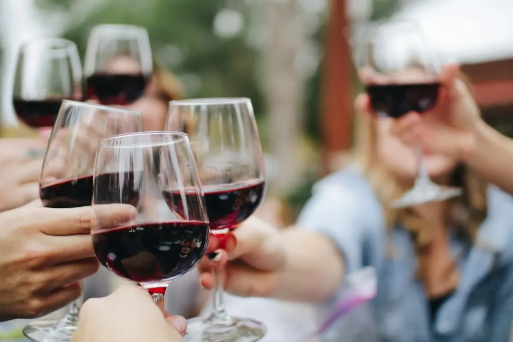 Nuestra selección de vinos: maridajes perfectos